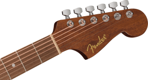 FENDER CA STD REDONDO CE IPG BLK