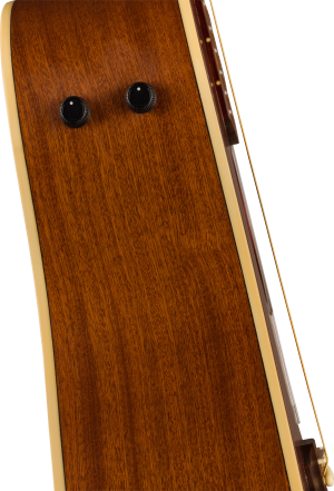 FENDER REDONDO PLAYER CAR WN